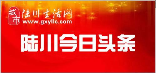 陆川头条最新爆料,揭秘电影幕后故事与幕后英雄  第2张