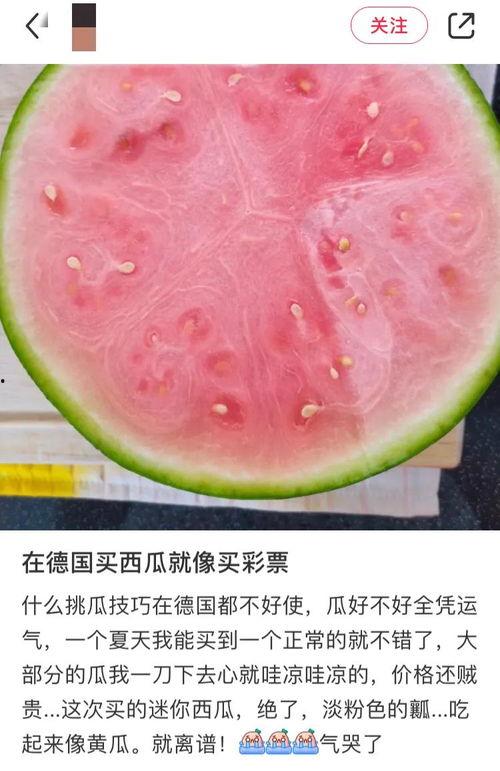 吃瓜网免费官网全球,全球热点一网打尽，畅享无界限的娱乐盛宴  第2张