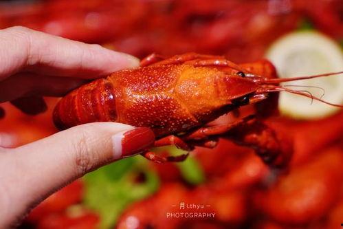 厦门龙虾爆料事件视频曝光,揭露海鲜市场惊人内幕  第2张