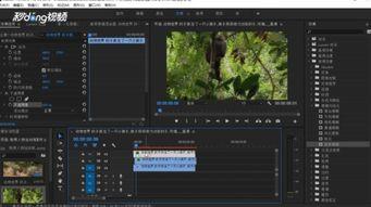 残影爆料视频,一窥幕后真相  第3张